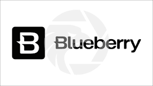 Blueberry Markets